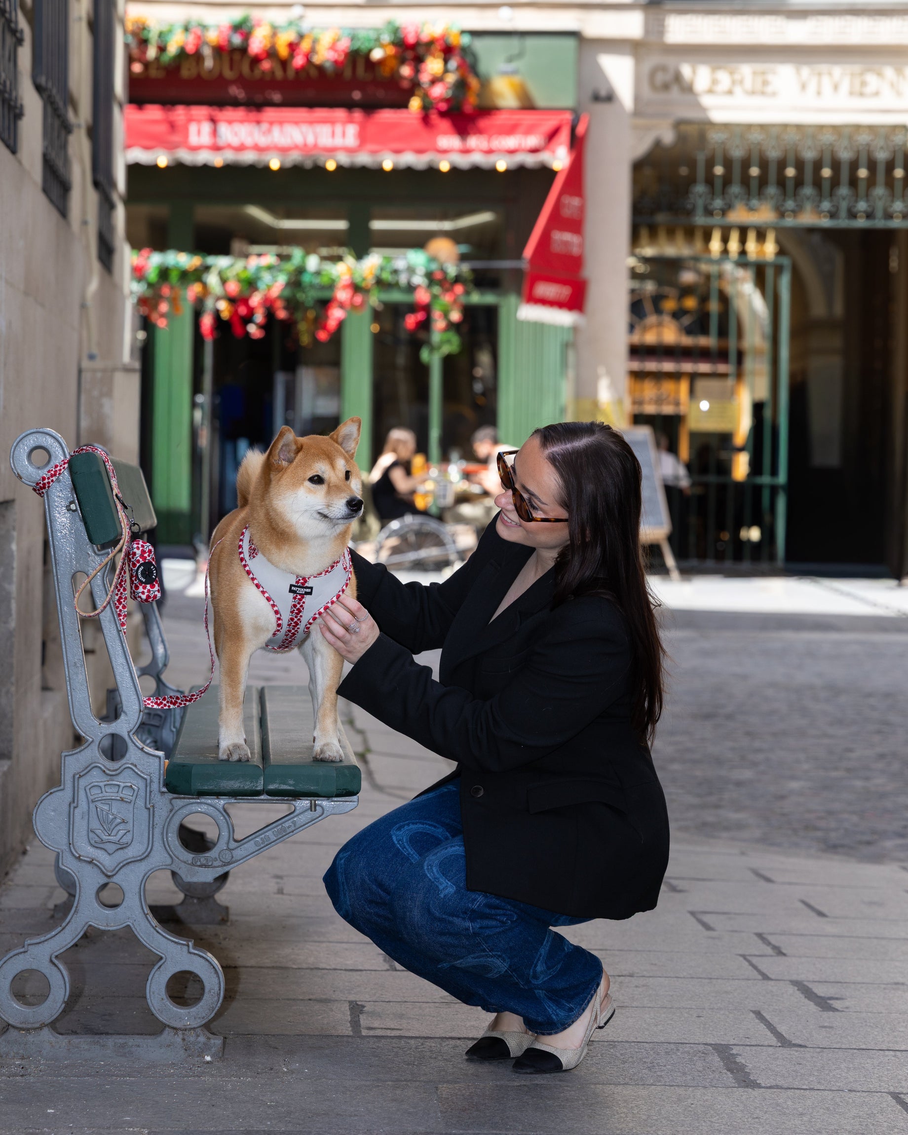 Comment rendre les promenades plus agréables pour son chien ?