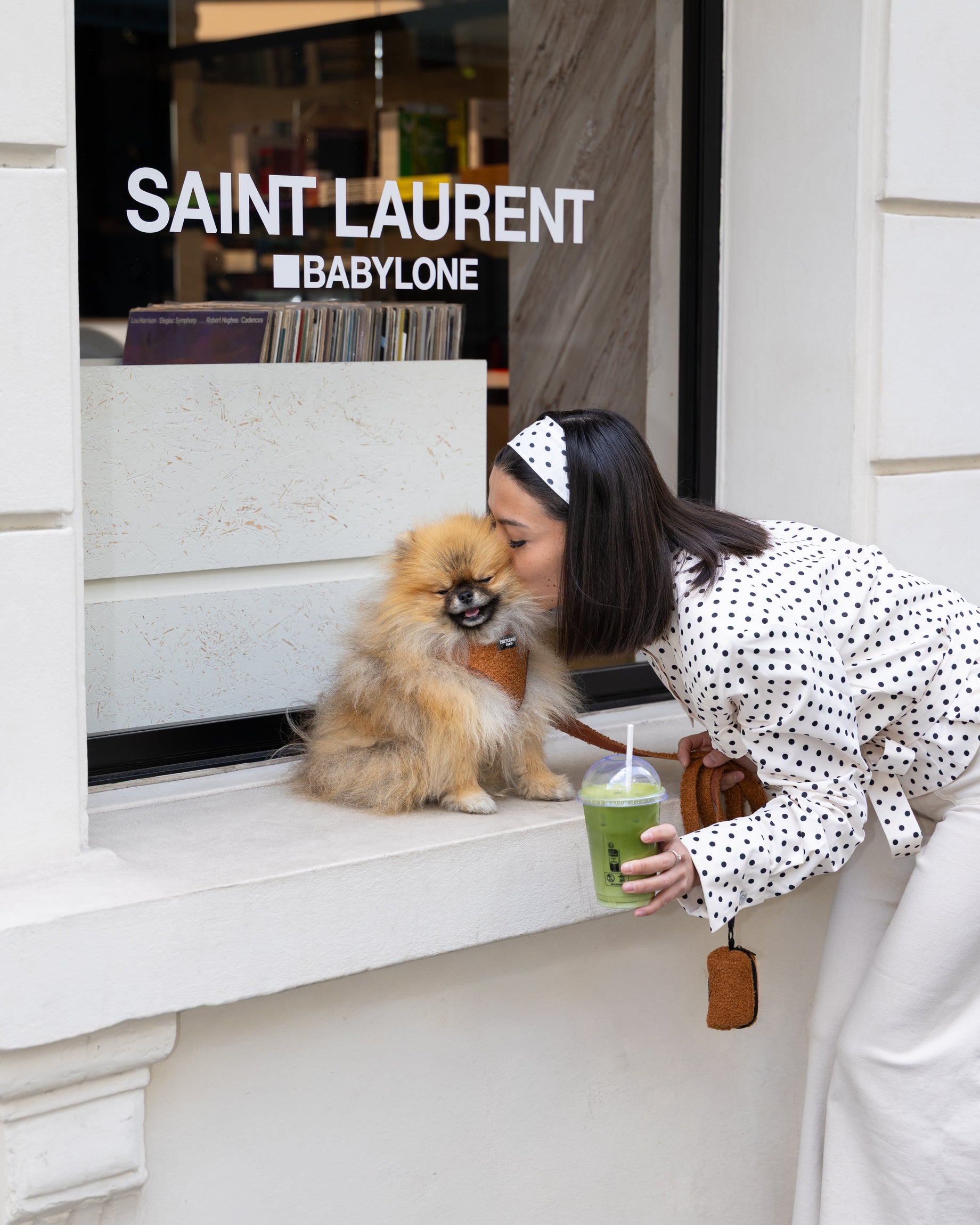 Harnais ou collier : lequel choisir pour son chien ?