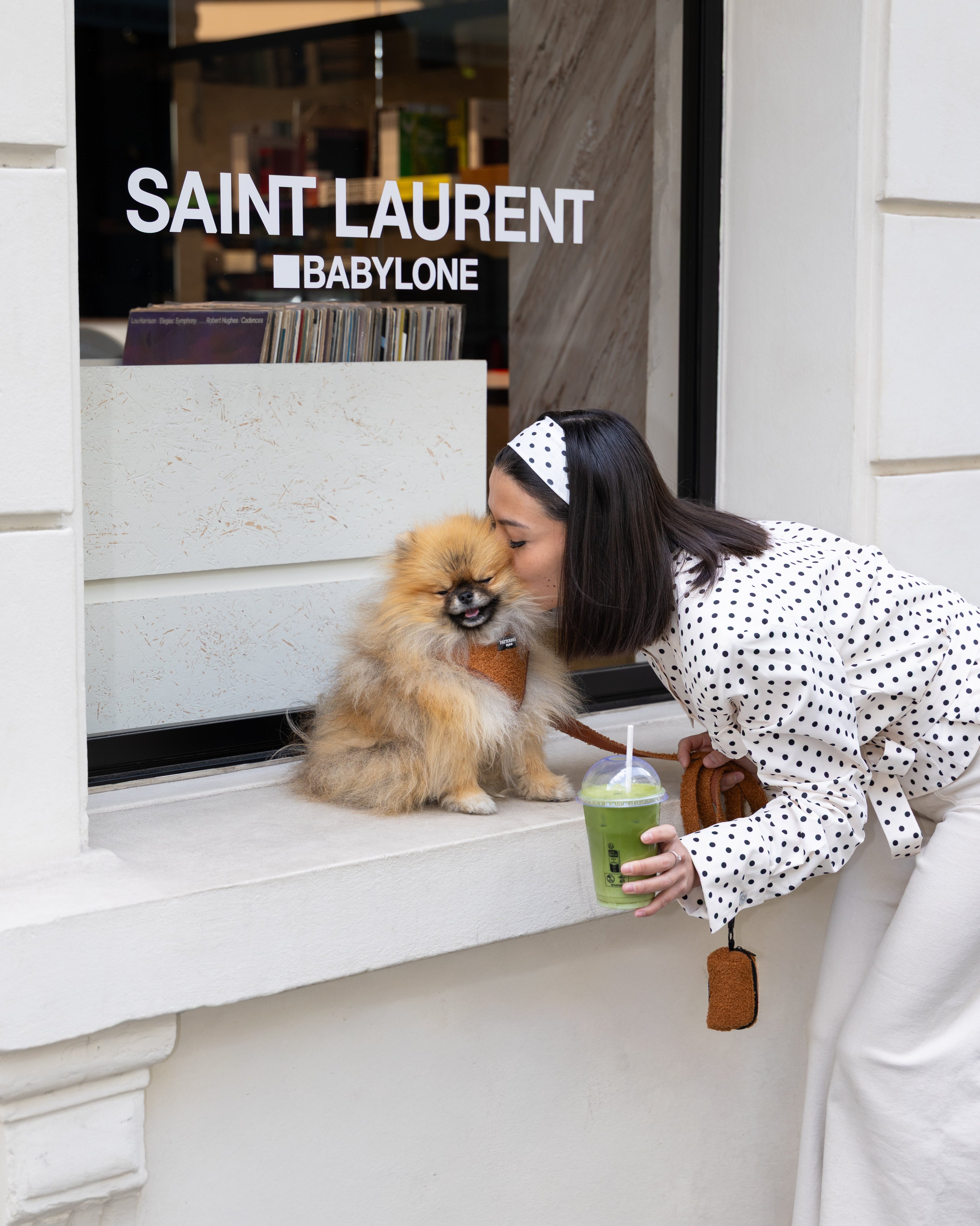 Harnais ou collier : lequel choisir pour son chien ?