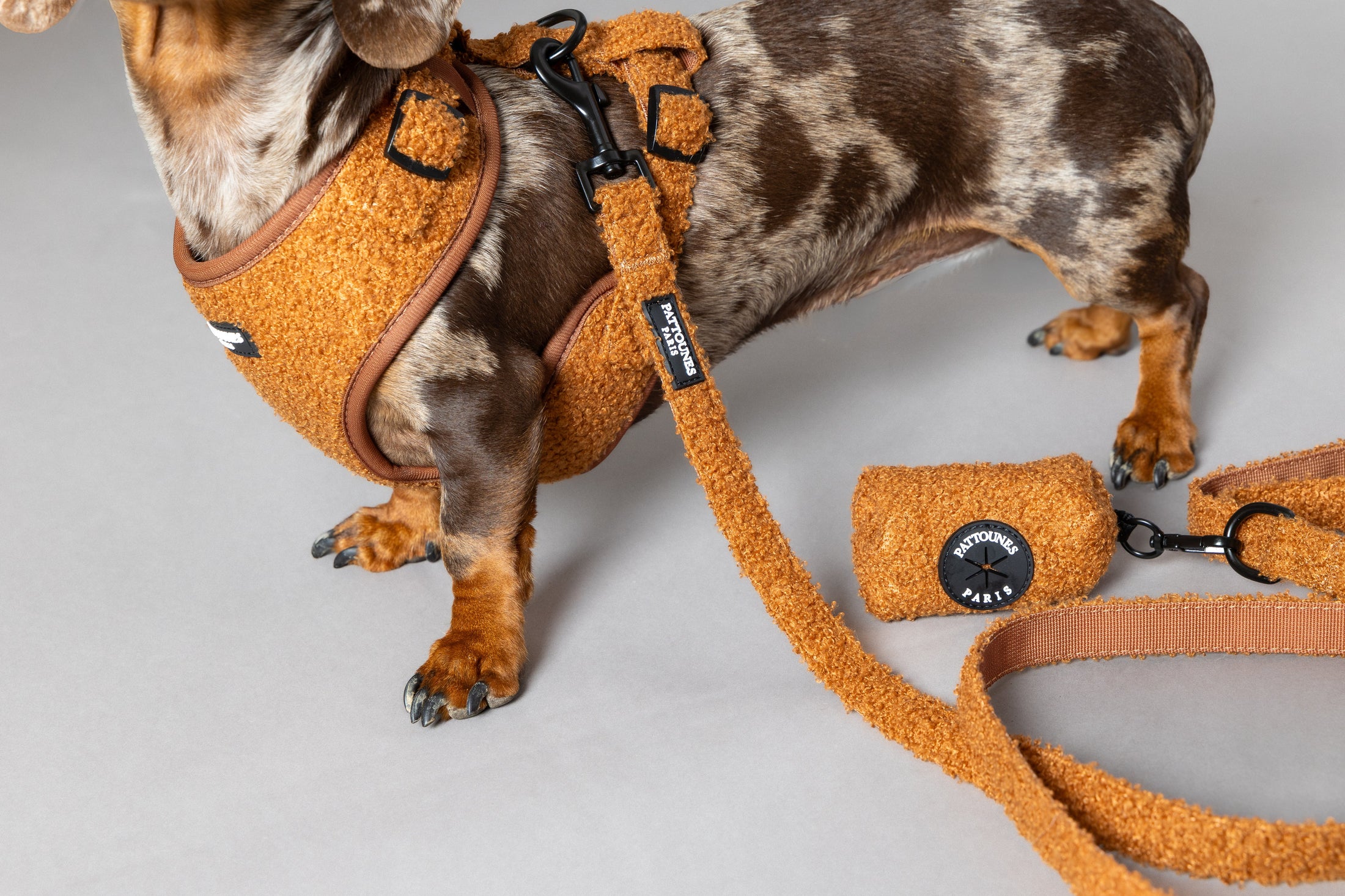 ÉTUIS À SACS