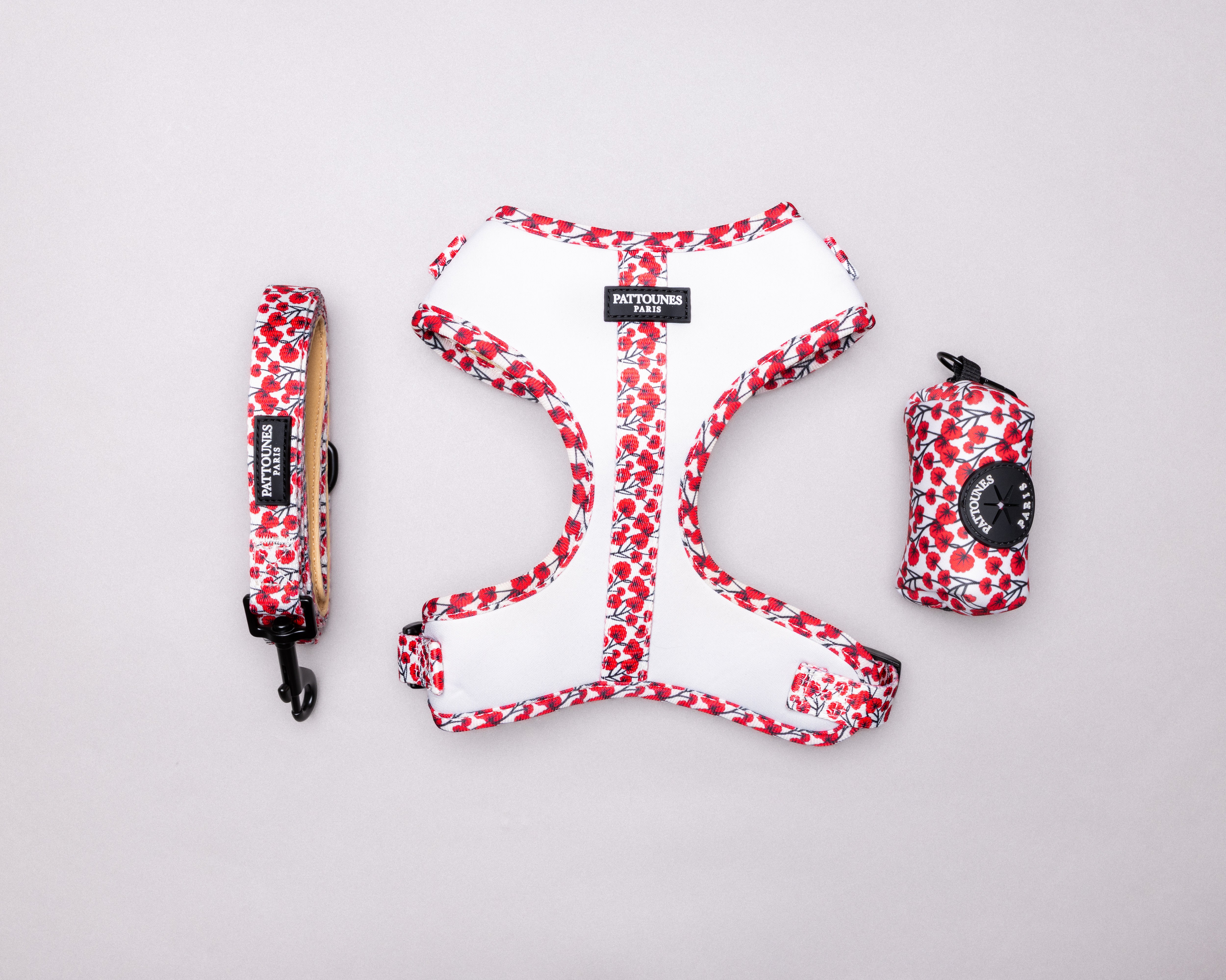 Ensemble Tuileries — Rosier Blanc