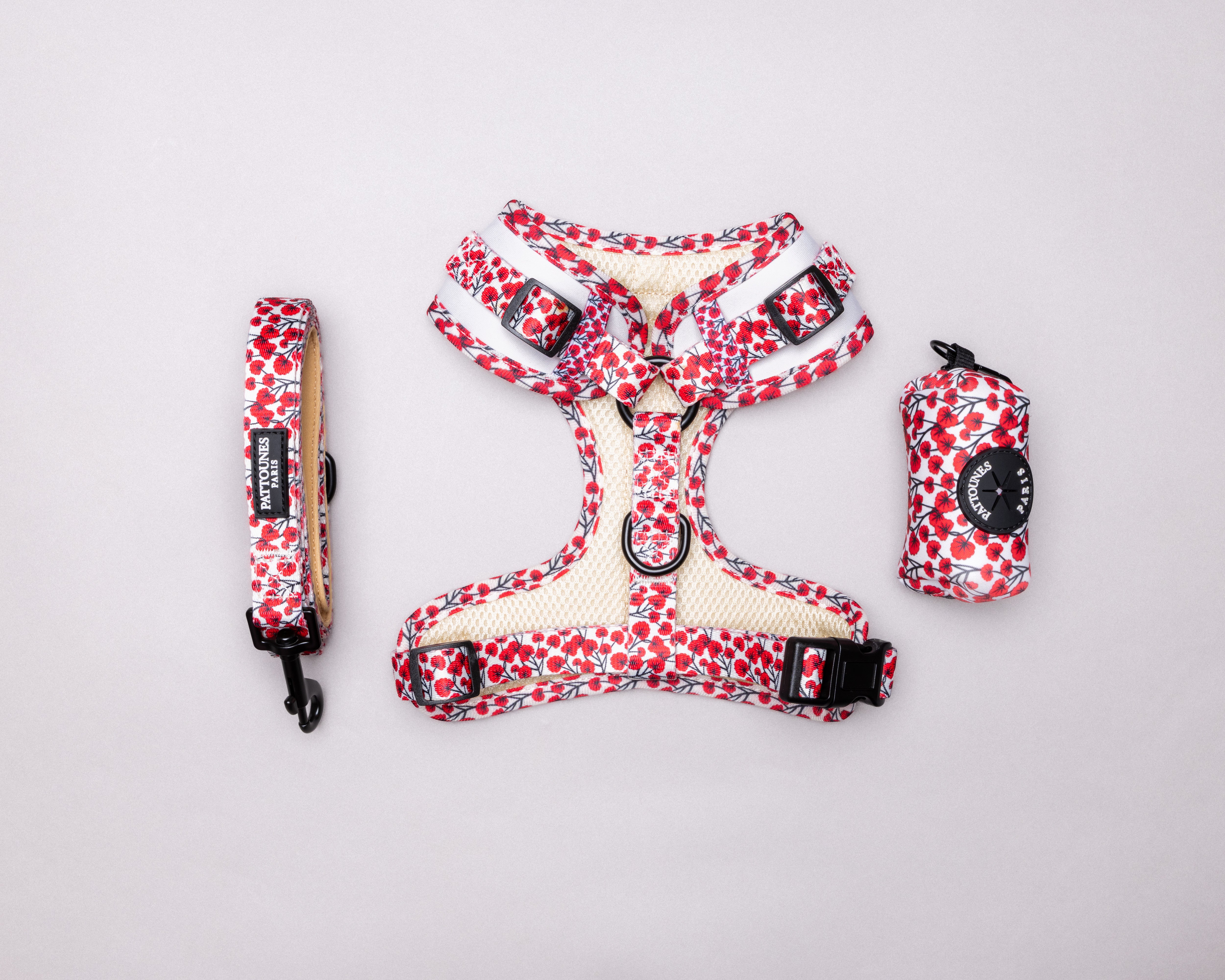 Ensemble Tuileries — Rosier Blanc
